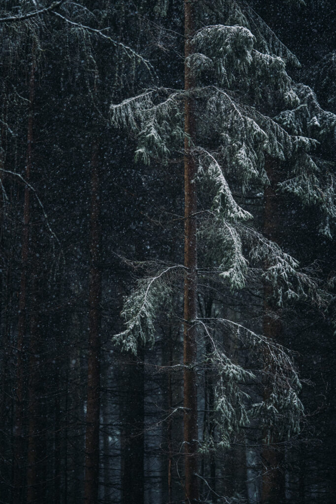 Schneegestöber in Geyer im Erzgebirge