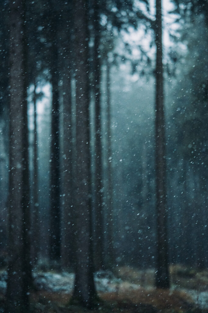 Flockenwirbel im Erzgebirge