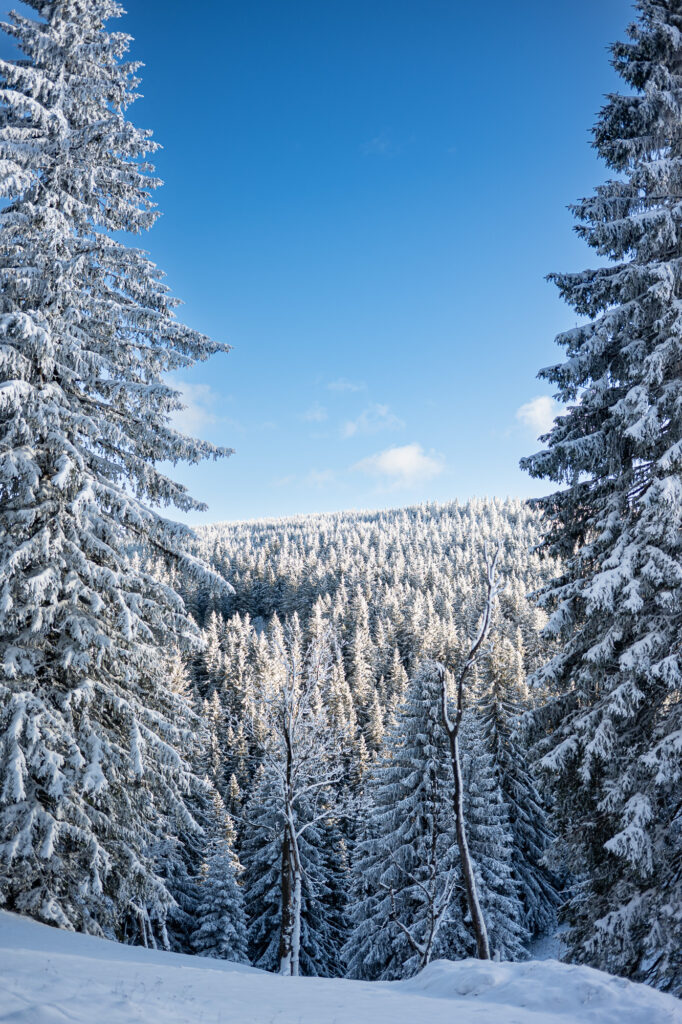 Blick von Deutschland Richtung Tschechien böhmisches Erzgebirge 