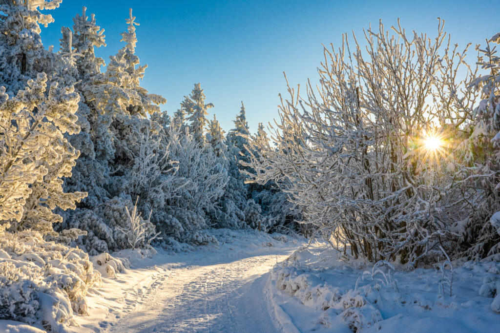 Sonnenstern auf dem winterlichen Fichtelberg im Erzgebirge