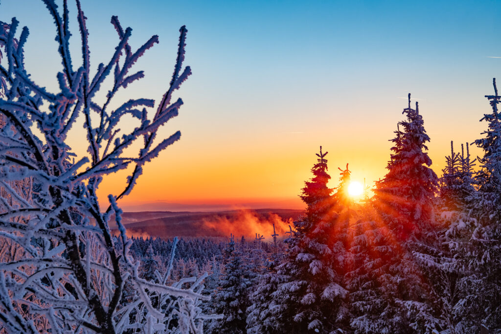 Nebelschwaden und untergehende Sonne mit Sonnenstern über den tief verschneiten Fichten auf dem Fichtelberg im Erzgebirge